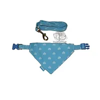Lydia Smart Pet Sparkle Heart Pet Set - Small - Blue