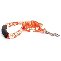 Little Earth Productions Clemson Tigers EZ Grip Nylon Leash - S/M