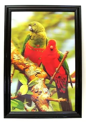 Parrot 3-D Picture 0126-3D2904