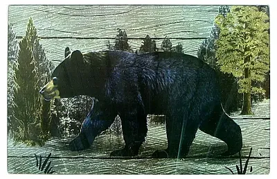 Bear Cutting Board/Hot Pad 0126-60049