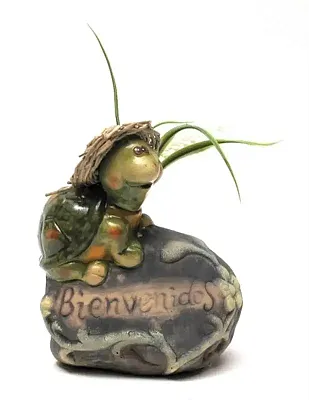 Pottery Turtle Bienvenidos 0150-821