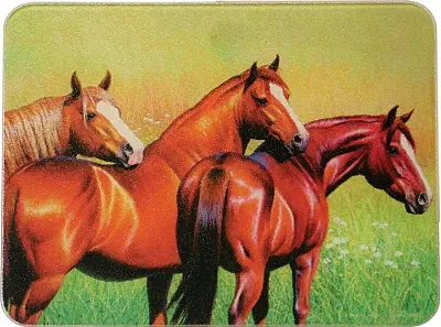 Horses Cutting Board/Hot Pad 017-727