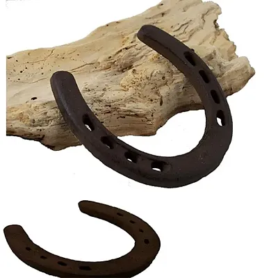 Large horseshoe bulk packaged 20pc 0170J-05208Bulk
