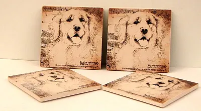 Golden Lab Coasters Set of 4 0183-36471