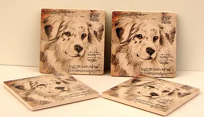 Australian Shepard Coaster Set of 4 0183-36499