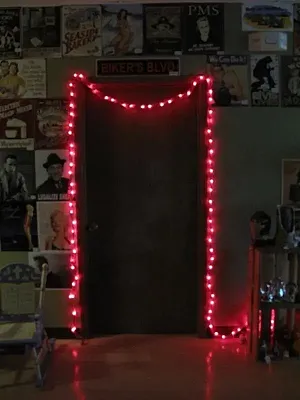 25ft Red Spun Tube Light String 1 Lights 0197-92709001