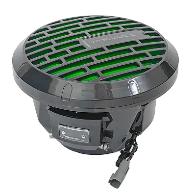 Roswell R1 10&quot; Subwoofer - Anthracite - 250W RMS &amp; 500W Peak Power