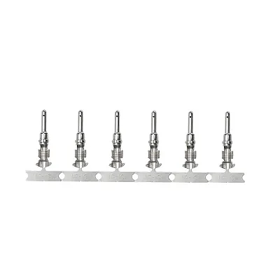 Pacer DTP Deutsch Pin f/10 AWG Wire - Size 12 Contact (25 Pack)