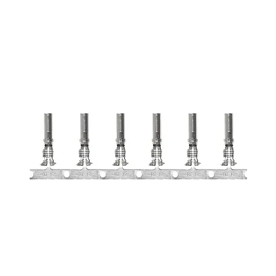 Pacer DTP Deutsch Socket f/10 AWG Wire - Size 12 Contact (25 Pack)