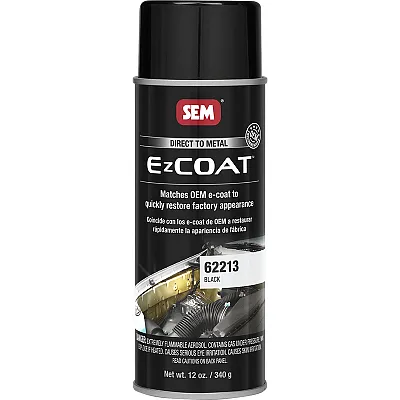 SEM Ez Coat&trade; - 16oz Aerosol Can - Black