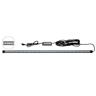 Hydro Glow 4' LED DockMaster 2000K Amber LED 120V