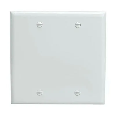 Cmple Blank 2 Gang Thermoplastic Panel Wall Plate (Gfci), White 