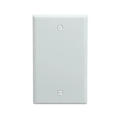 Cmple Blank 1 Gang Thermoplastic Panel Wall Plate (Gfci), White 