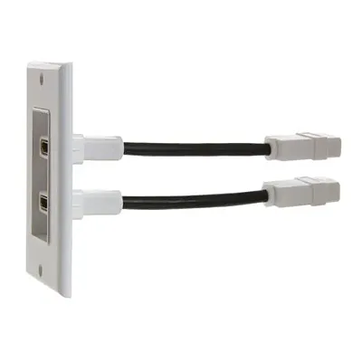 Cmple 564-N HDMI Wall Plate with 4 inches Extension cable - Dual