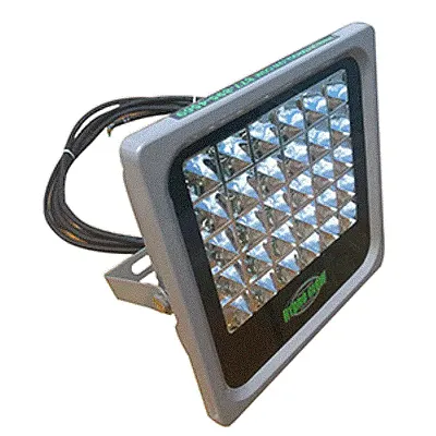 Hydro Glow FL50 50W/120VAC Flood Light - Green