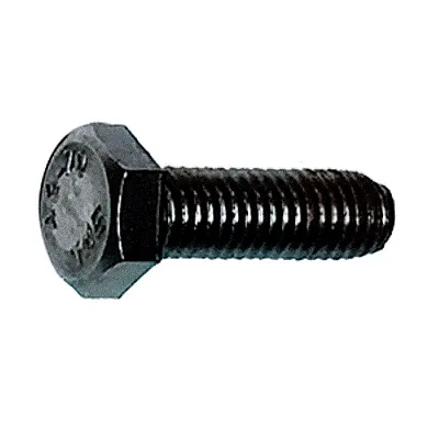 Maxwell Screw Set HEX HD M8 x 25 - Stainless Steel 304