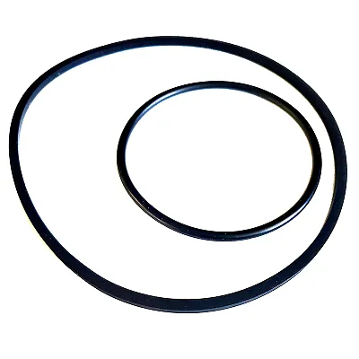 Dometic&trade; O-Ring S/T Pump Kit