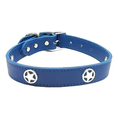 Mirage Pet Products Blue Western Star Leather Dog Collar - 26