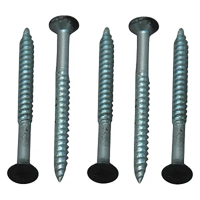 AP PRODUCTS FSQ250BL82 250Pk 8X2' Recess Screws