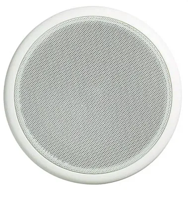 ASA GR600W Grille 6&#039; Speaker White