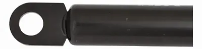 ATTWOOD MARI SL271001 10Mm 10X22' Plsc Skt 100#