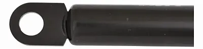 ATTWOOD MARI SL29801 Gs Sprng 36.3X21C80#13Mm