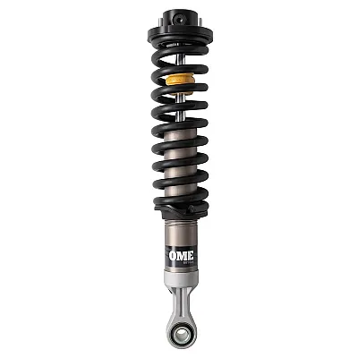 ARB USA MT64996003 Mt64 C/O: Strut Assy