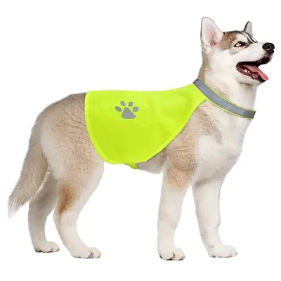 X-Small Hi-Vision Reflective Safety Vest AVST-001