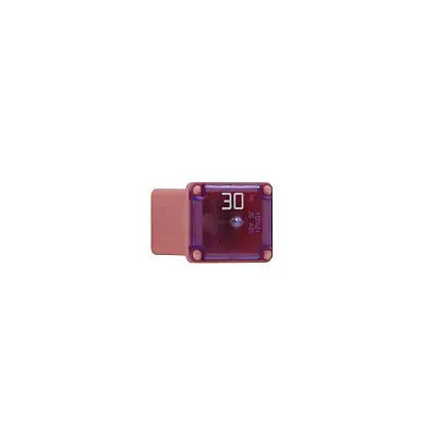 BUSSMANN BPFMX30LPR Low-Profile Fmx Fuses- Pi
