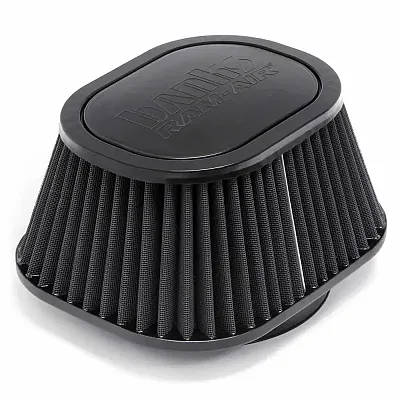 BANKS 42138D Dry Air Filter 42138-D