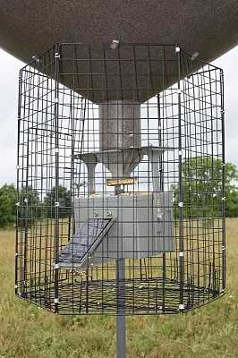 Boss Buck 1VC Varmint Cage Large Deluxe Round