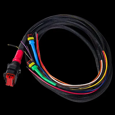 BATTLE BORN WSPH P-Type Harness (5Ft)