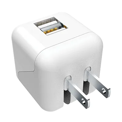 Xyst Xys-242Wcwt 2.4-Amp Dual Usb Wall Charger (White)