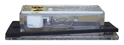 CROWN AUTO J3670544 Lic Lamp