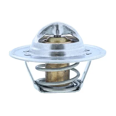 MOTOR RAD AM 200180 Thermostat