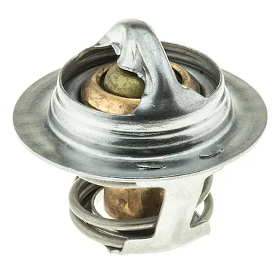 MOTOR RAD AM 203195 Thermostat