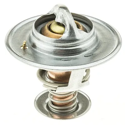 MOTOR RAD AM 228160JV Thermostat