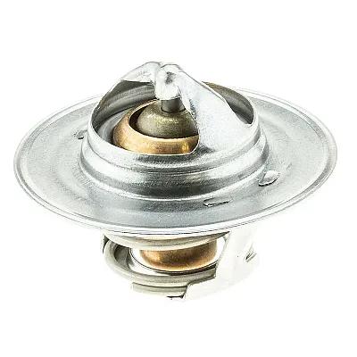MOTOR RAD AM 300180 Thermostat