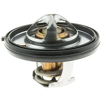 MOTOR RAD AM 420180 Thermostat