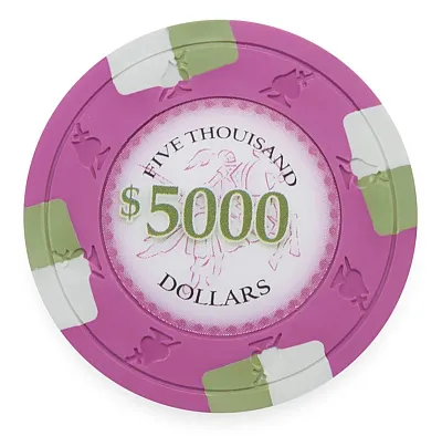 Poker Knights Poker Chips 13 5 Gram 25 Pack CPPK-5000