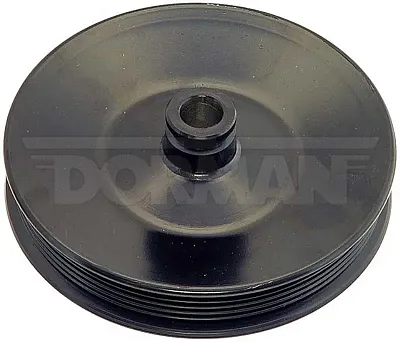 DORMAN 300005 Pwr Steering Pulley