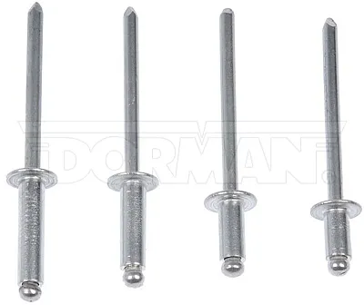 DORMAN 961025 Rivet 5/32 Assortment