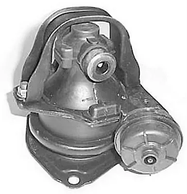 DEA PRODUCTS A6587 90-99 Isuzu Rear