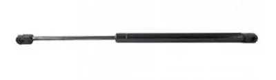 DEXTER GROUP 362001 20&#039; Door Strut