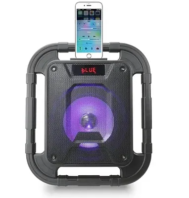 DPI ISBW519B Water Resistant Tailgate Speaker