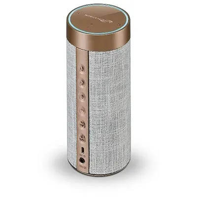 DPI ISWFV387RG Wifi Spkr W/ Alexa Rose Gold