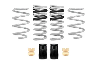 EIBACH E323502901 Drag-Launch Kit (Performance Spring