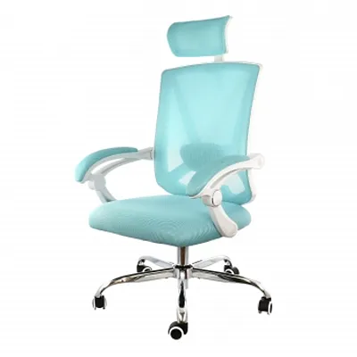 Elama Full Back Mesh Adjustable Office Chair with Headrest in Blue with White Fr