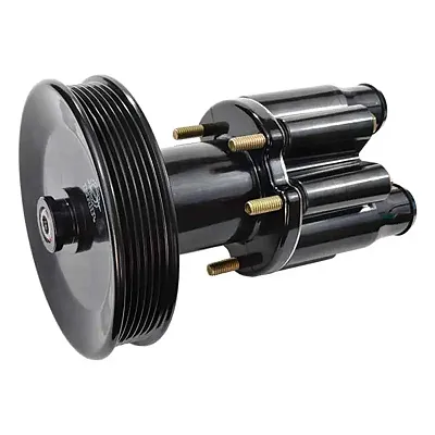 EMP 4613199 Complete Pump With Pulley