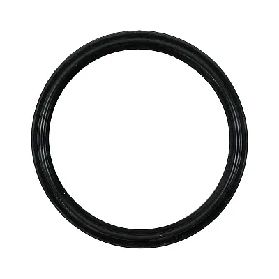 FELPRO 36161 Thermostat Gasket